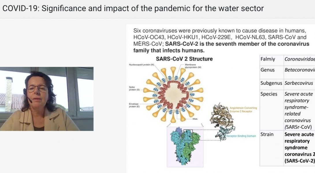 Arsenic reduction to